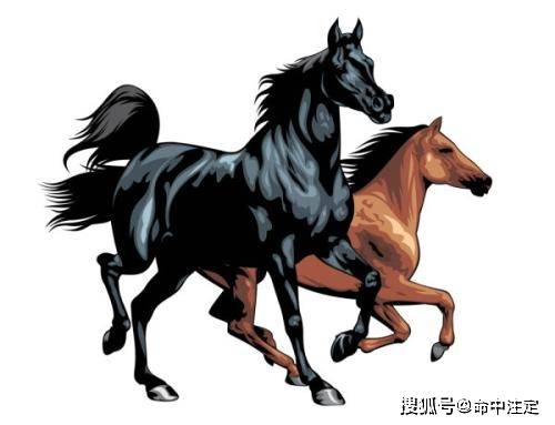 一马平川打一准确生肖，详细解答、深度解答解释落实
