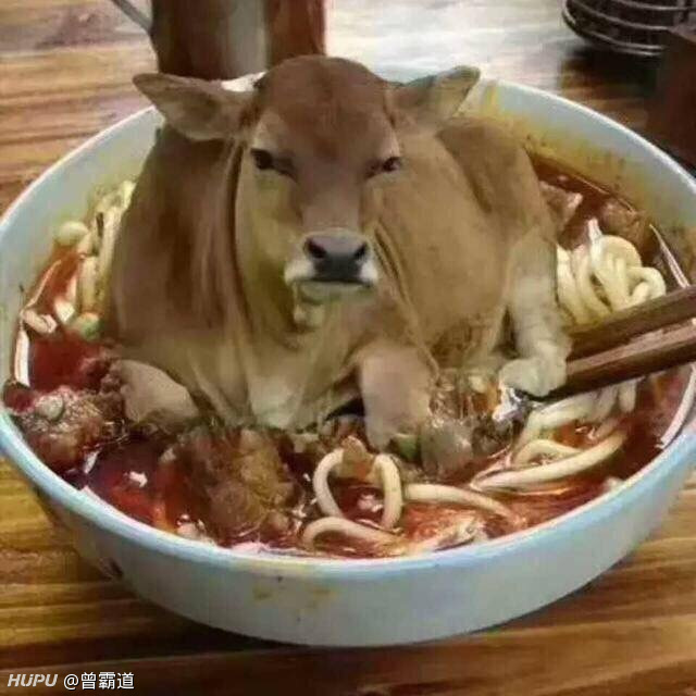 一碗牛肉面两碗豆浆打一精准生肖、警惕虚假宣传-全面释义、全面解答解释落实